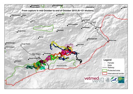 Map of khulan movements in October 2015