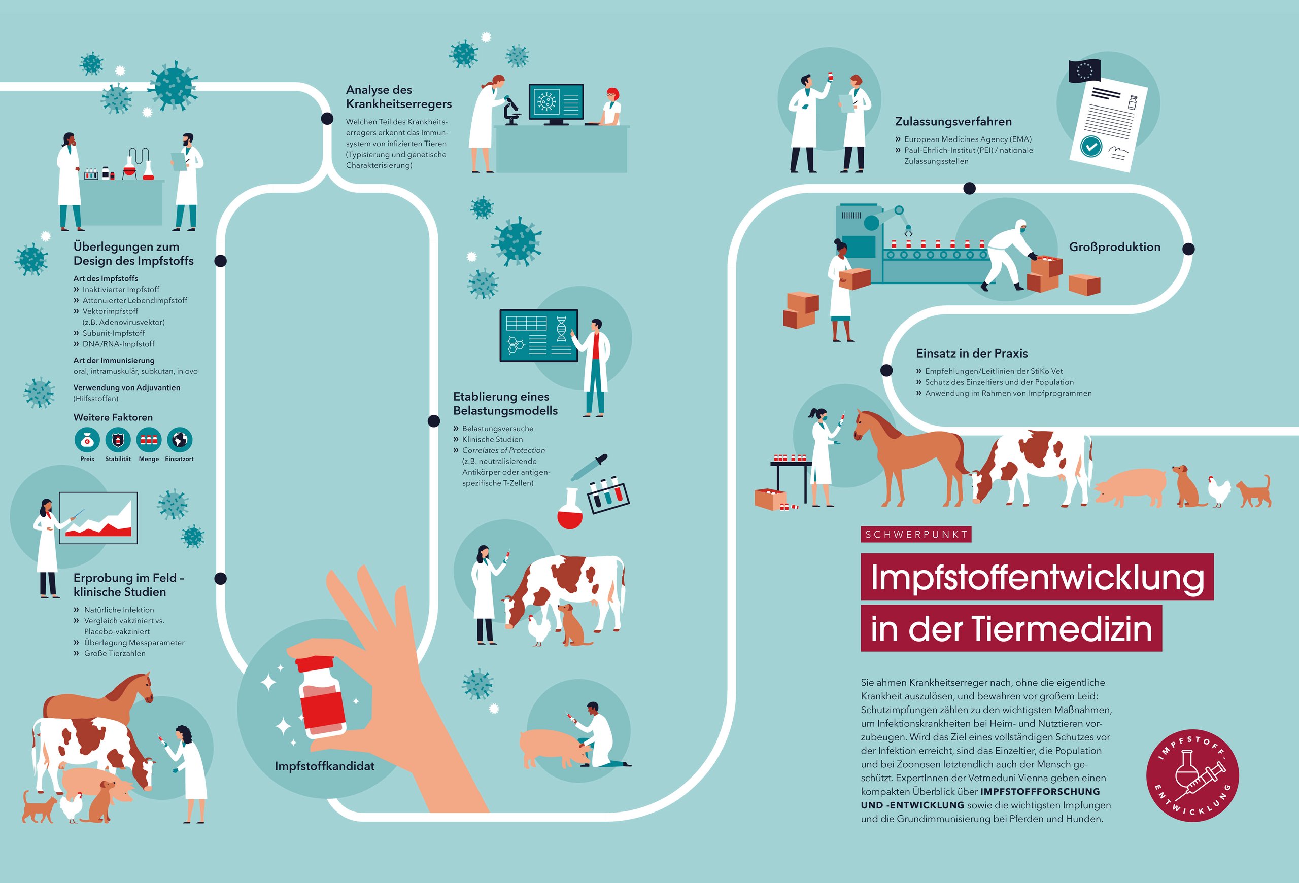Wie entsteht eine neue Vakzine? Impfstoffentwicklung in der Veterinärmedizin. Illustration: Matthias Moser/Vetmeduni