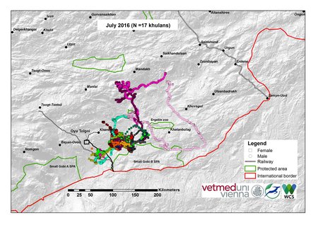 Map of khulan movements July 2016