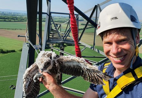 Richard Zink mit Sakerfalken auf einem Hochspannungsmasten