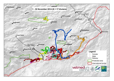 Map of wild ass movements in November 2014