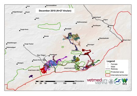 Map of khulan movements in December 2018