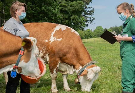 Foto: Michael Bernkopf/Vetmeduni