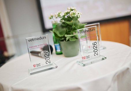 Teaching Vets Symposium: prize trophies for the winners
