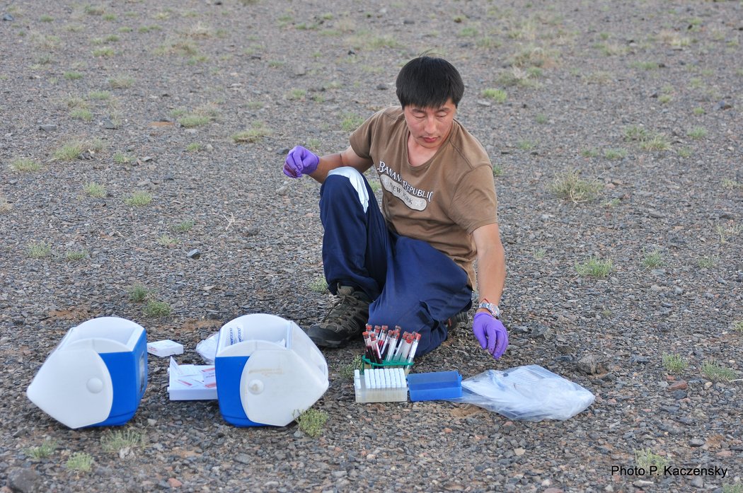 Photo of samples for disease screening