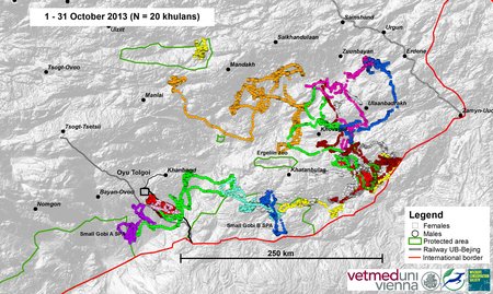 Map of wild ass movements in October 2013