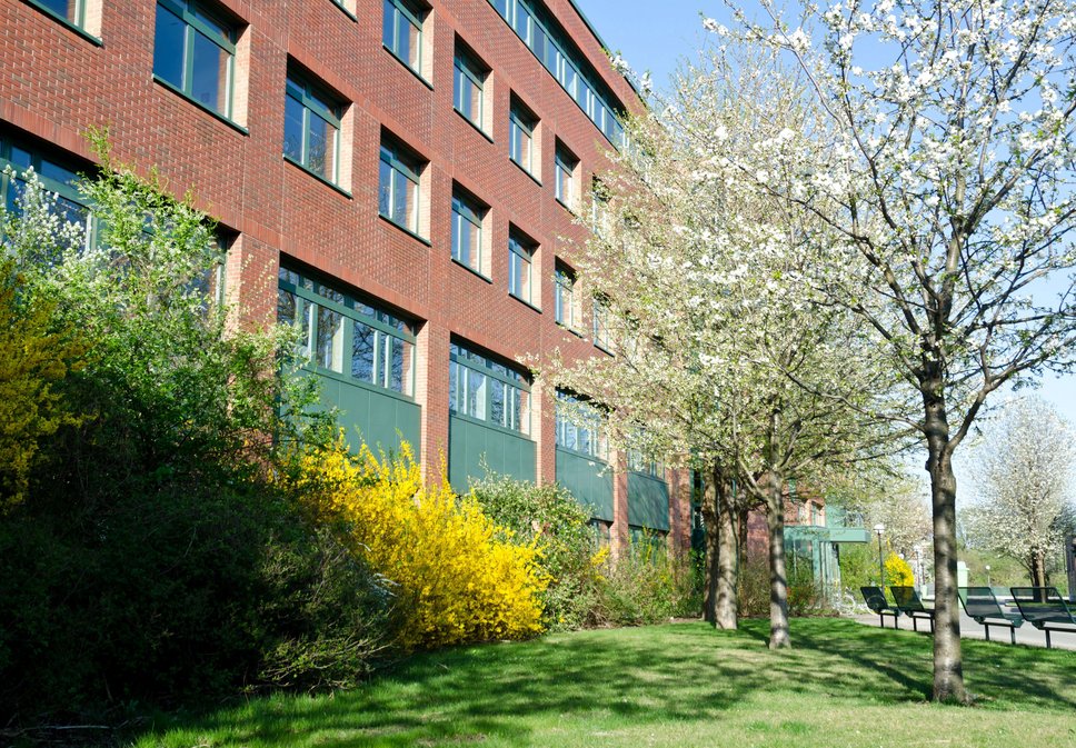 Bl&uuml;hende B&auml;ume vor Backsteingeb&auml;ude