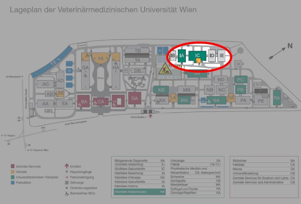 Campusplan mit Markierung der Klinik für Geburtshilfe, Gynäkologie, Andrologie und Besamung