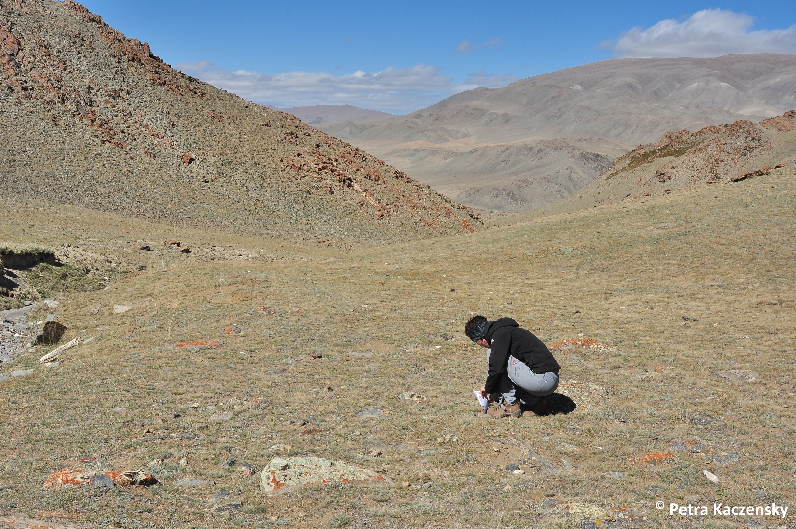 Photo of plant sampling in the high mountains