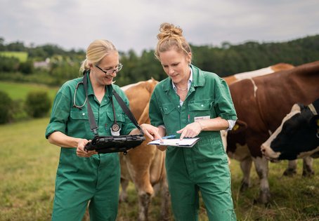Melanie Sch&auml;ren Bannert steht auf einer Weide, h&auml;lt ein Tablet in der Hand und bespricht sich mit ihrer Kollegin Karen Wagener, im Hintergrund stehen Rinder.