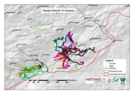 Map of khulan movements October 2016