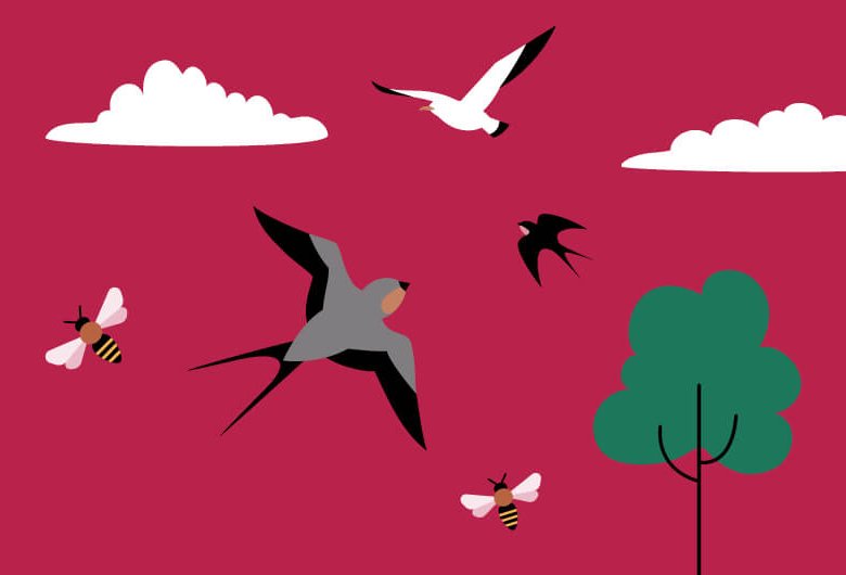 Grafik mit Vögeln, Baum, Wolken und Bienen