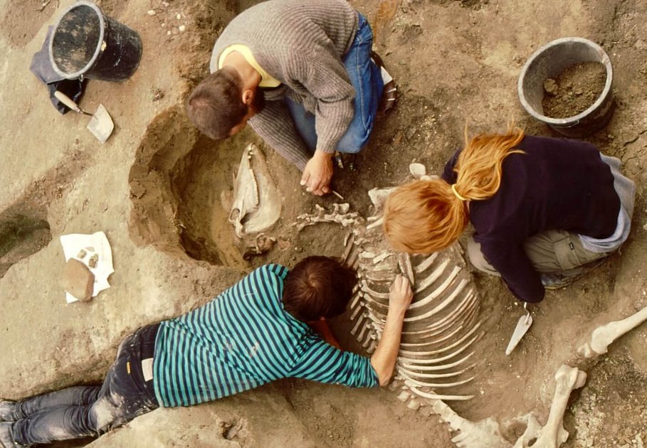 Archaeological scene from the Favianis