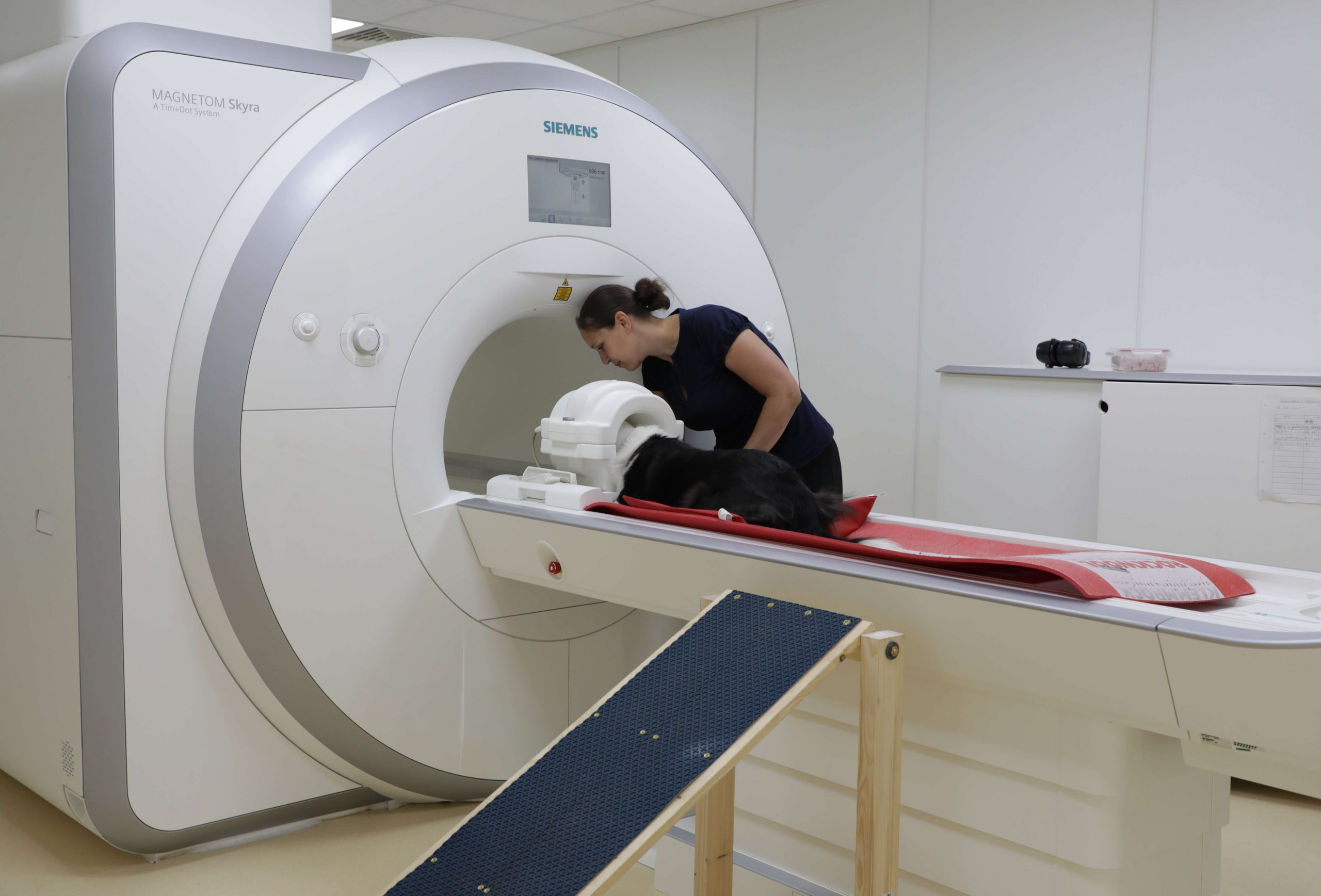 A dog lies on the table of an MRI scanner, the dog trainer stands next to it.