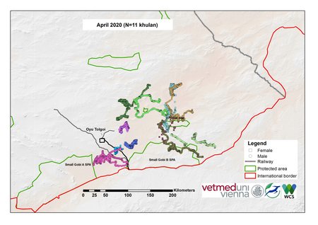 [Translate to English:] Karte von Kulan Bewegungen im April 2020
