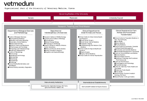 Organizational chart of the University 2026