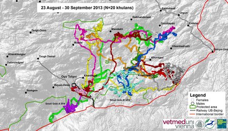 Map of wild ass movements in September 2013