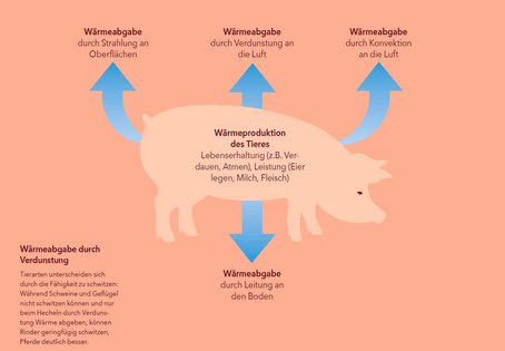 Illustration: Matthias Moser/Vetmeduni