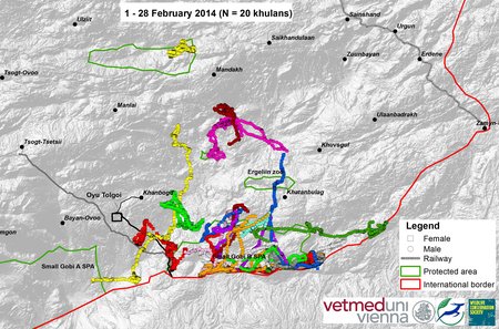 Map of wild ass movements in February 2014