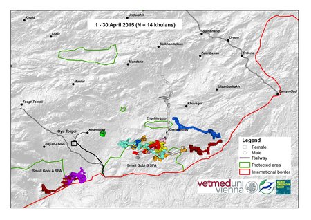 Map of wild ass movements in April 2015