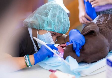 Kind bei Zahnpflege bei einer Hundeattrappe