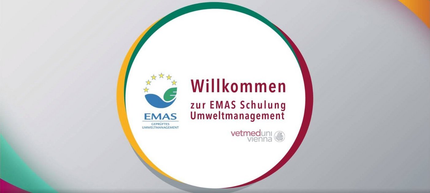 Illustration EMAS Schulung Umweltmanagement