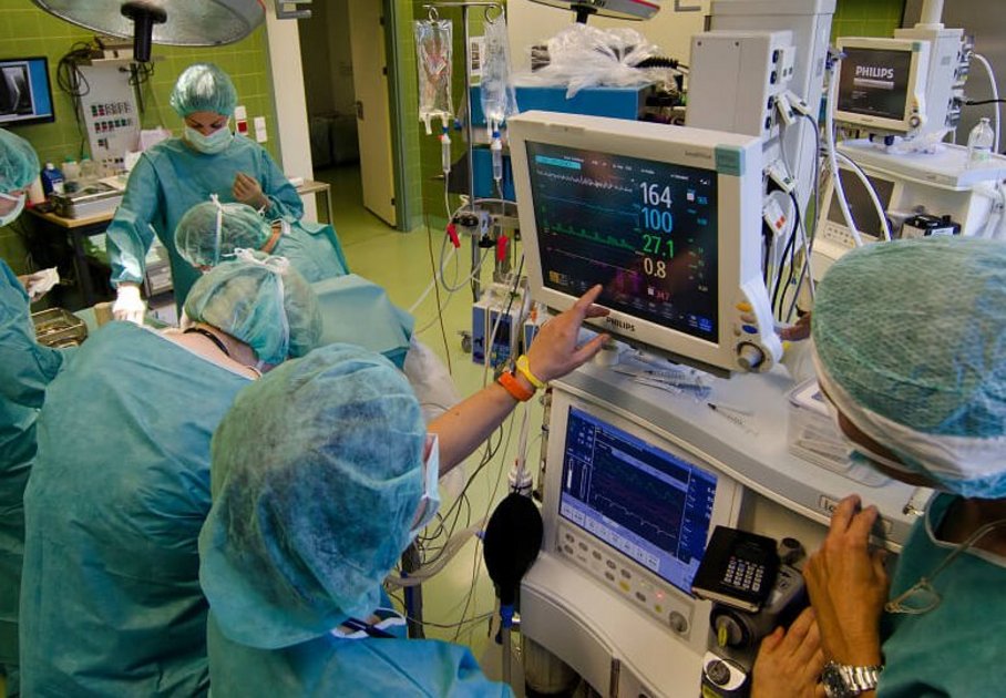Foto: Michael Bernkopf/Vetmeduni