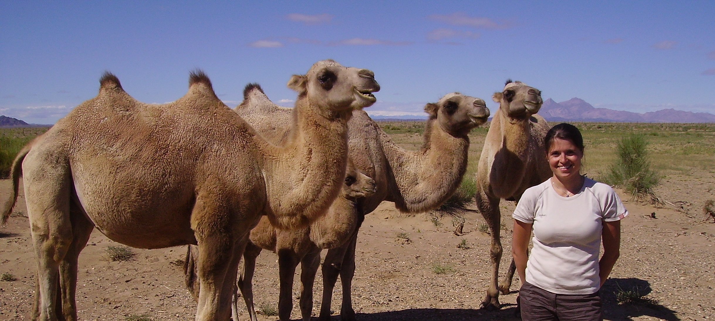 Foto von Pamela Burger mit Kamelen