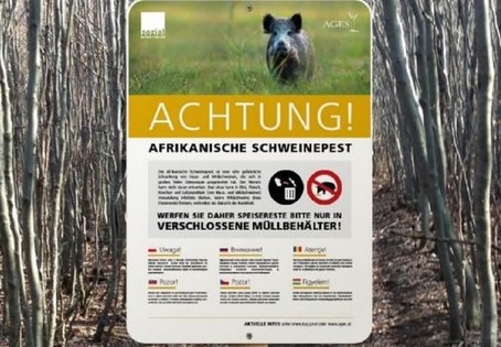 Warnschilder der AGES weisen seit Jahren auf Autobahnraststätten und Wäldern auf die gefährliche Viruserkrankung hin. Grafik: B. Rieger/Vetmeduni Vienna