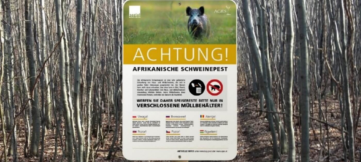 Warnschilder der AGES weisen seit Jahren auf Autobahnraststätten und Wäldern auf die gefährliche Viruserkrankung hin. Grafik: B. Rieger/Vetmeduni Vienna