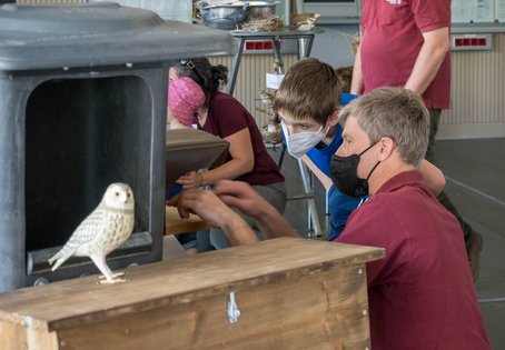 Richard Zink zeigt die Nistkästen am TdoT 2022 /Foto K. Svadlenak/Vetmeduni