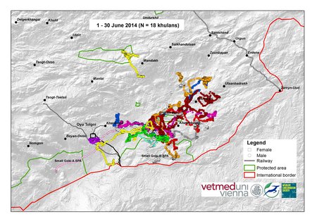 Map of wild ass movements in June 2014