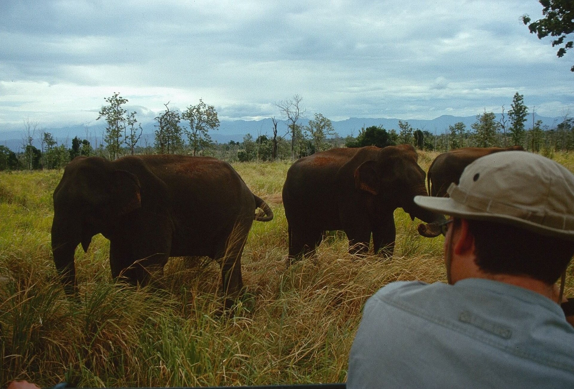 Alumnus Wolfgang Weihs bei Elefantenfeldstudien in Sri Lanka
