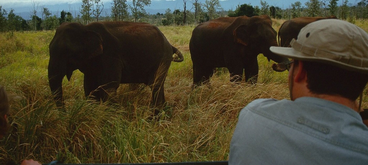 Alumnus Wolfgang Weihs bei Elefantenfeldstudien in Sri Lanka