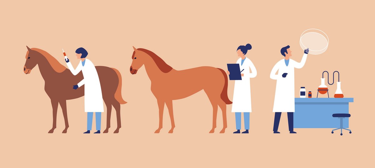 Vetmeduni : Techniken der assistierten Reproduktion: Nachwuchs mit  Untersttzung