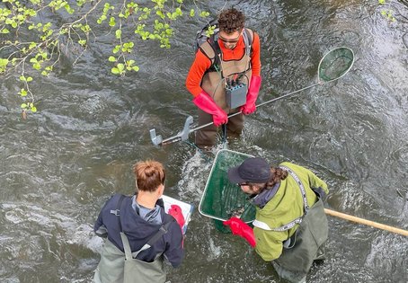 Einsatz im Feld: Durch die Bestandsaufnahme von Fischen im Feld können Forscher:innen Rückschlüsse auf die Gesundheit von Tieren und Gewässern ziehen. Foto: Maria Amparo Sanchez