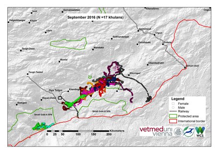 Map of khulan movements September 2016