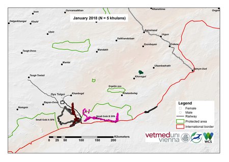 map of khulan movements in January 2018