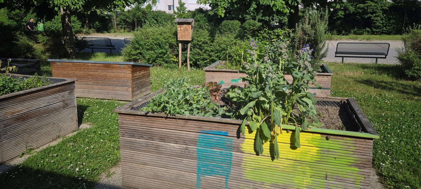 Garten mit Hochbeeten