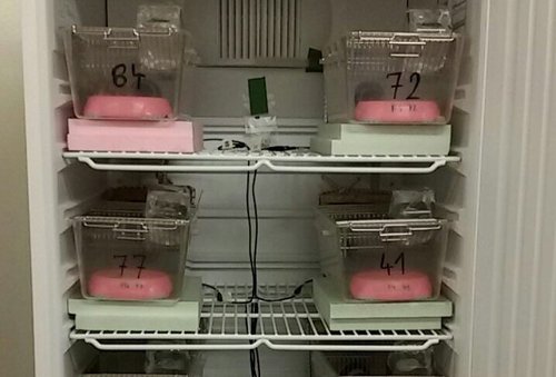Research setup with refrigerator