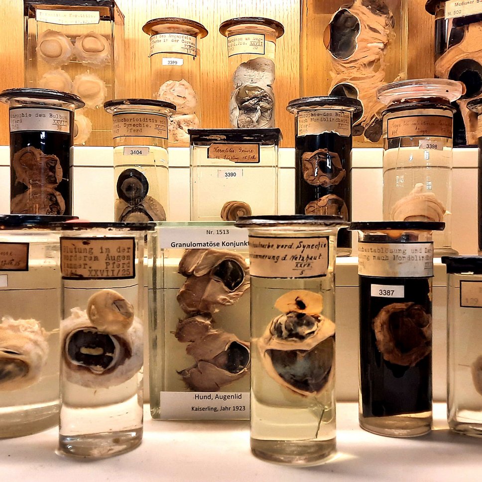 pathologische Pr&auml;parate