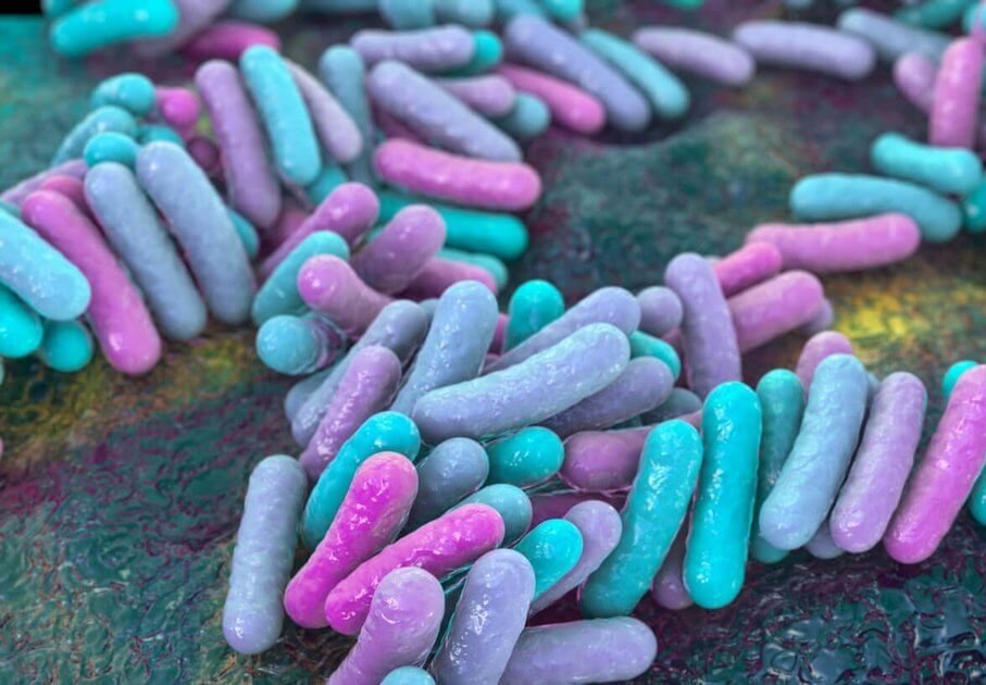 Bakterien / Weiter zu Lebensmittelmikrobiologie