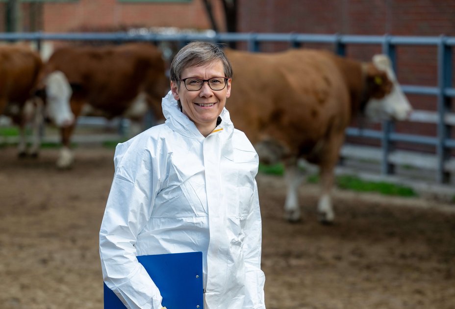 Clair Firth ist Professorin für öffentliches Veterinärwesen. Clair Firth in Schutzbekleidung bei Rindern