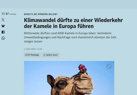 Screenshot Der Standard Artikel, Foto von Kamel Kopf, Headline: Klimawandel dürfte zu einer Wiederkehr der Kamele in Europa führen