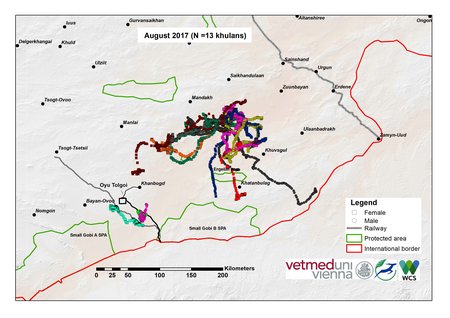 Khulan movement map for August 2017