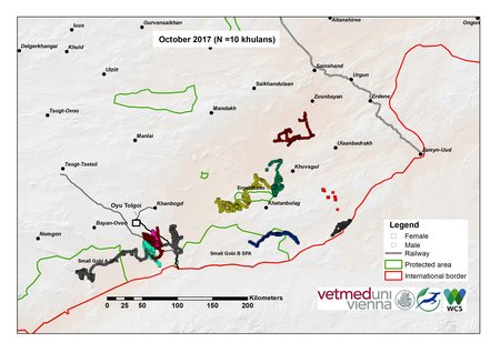 Map of khulan movements in October 2017