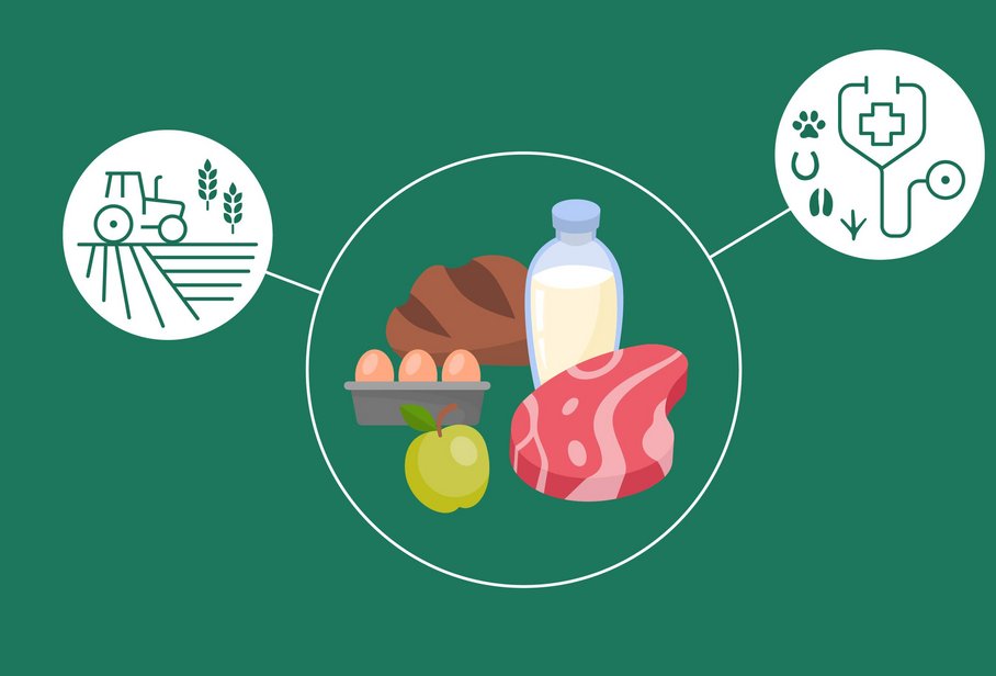 Illustration VetmedTalk