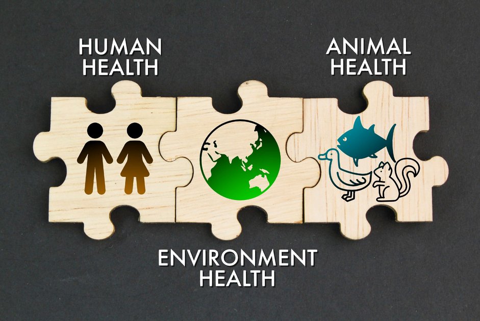 Illustration One Health