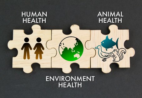 Illustration One Health