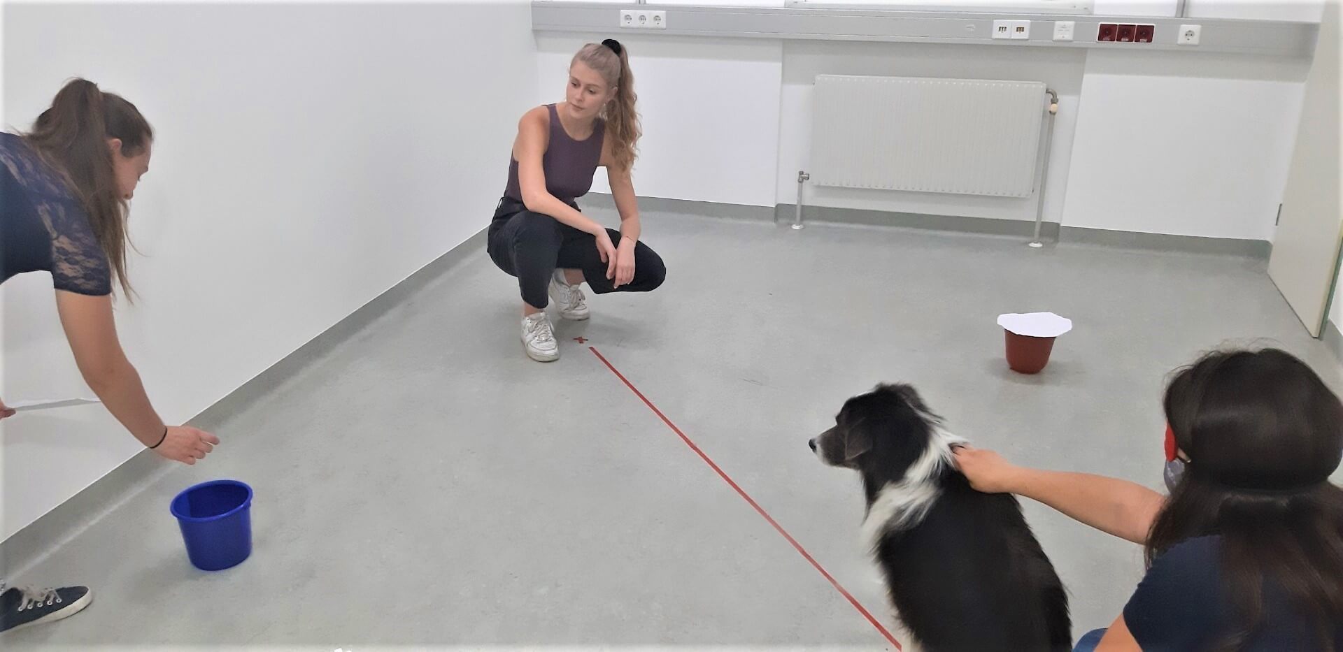 A dog sits in front of the dog owner and sees a person giving a treat into a container, a second person watches.